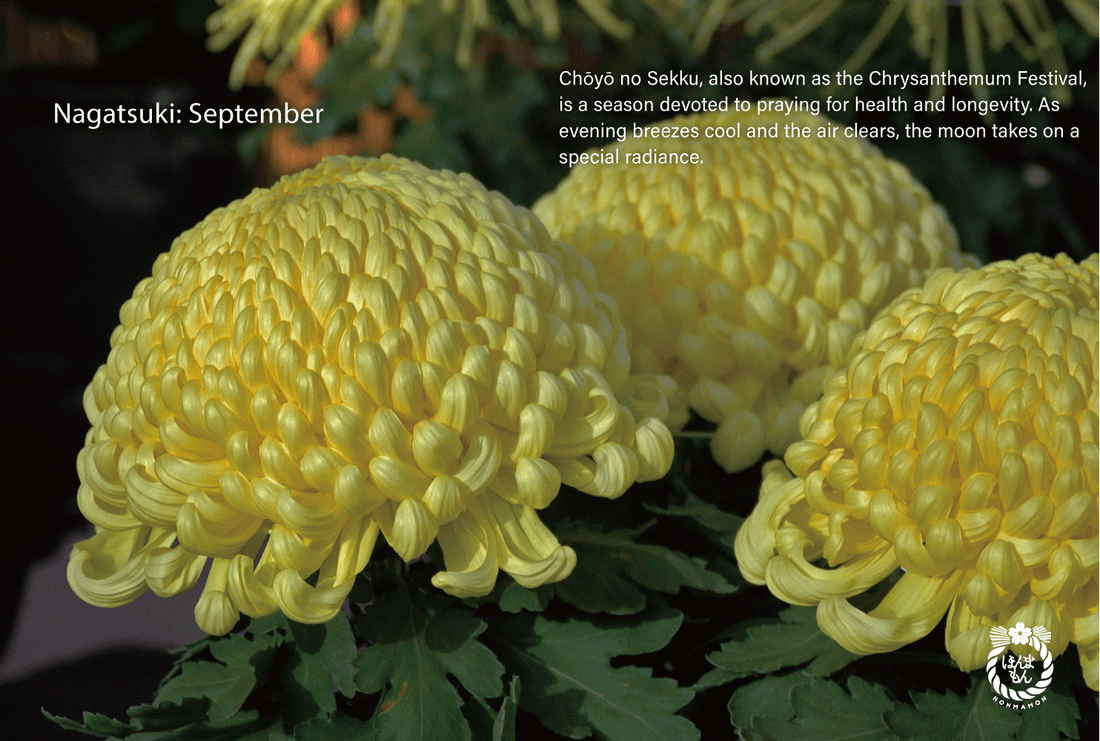 September