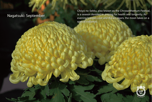 September